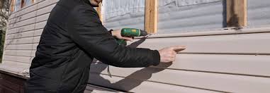 Best Vinyl Siding Installation  in Fruitland, NC